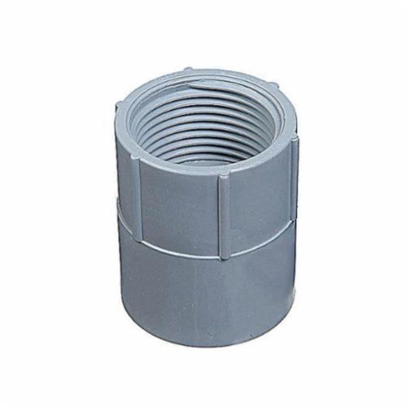 Thomas & Betts Carlon® E942G Conduit Adapter, 1-1/4 in, Female x Socket Thread, PVC